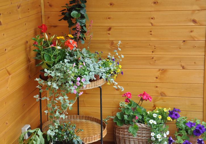 Koliba Nad Bialka Czarna Gora Bed and Breakfast Buitenkant foto